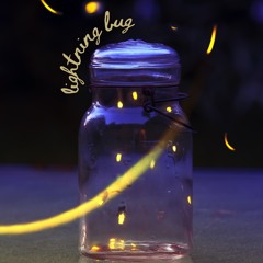 Lightning Bug