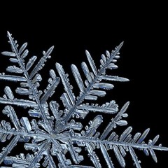 }{{{ ❄️ICEHEART❄️ }}}{    [[💎AMIRIPLUGGZ💎]]