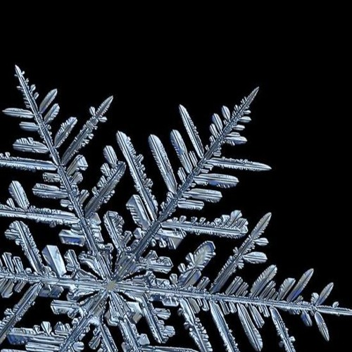 }{{{ ❄️ICEHEART❄️ }}}{    [[💎AMIRIPLUGGZ💎]]