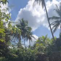 Nothing But Blue Sky Again