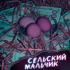 СЕЛЬСКИЙ МАЛЬЧИК