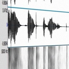 sound pattern study 4