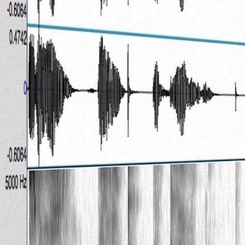 sound pattern study 4