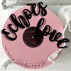 Mixset HouseLux Echoes Love | Dinh Nguyen ft. Trung Kien |