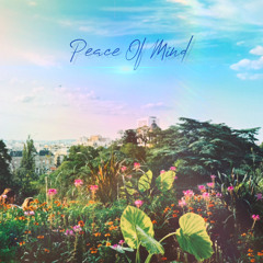 Peace Of Mind