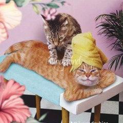 Retrato Imaginário- SNZ