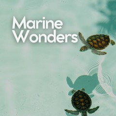 Oceanic Water