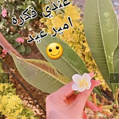 عندي فكرة _ أمير عيد