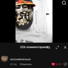 анонимные коты