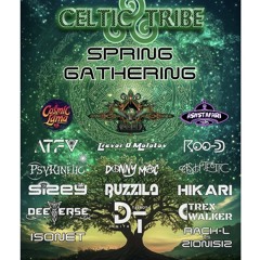 Celtic tribe #24-4-25