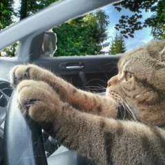 Простуда Билли Ногами  Ft Мурмура & Завод