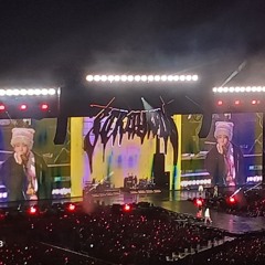 Stray kids concert Paris !!