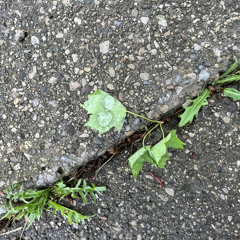 [free] Black Kray + Pierre Bourne + Autumn Type Beat (prod. Taylor Morgan)