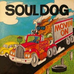 Haztelapista #3 @gatoporfiao