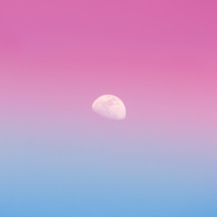 Louis Vierne:  Clair de Lune, Suite bourguignonne Op.17, No. 7. ルイ・ヴィエルヌ ブルゴーニュ組曲  月明かり