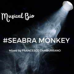 MUSICAL BIO: #SEABRA MONKEY