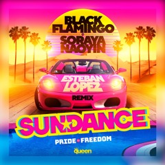 QHM1024 - Black Flamingo · Soraya Naoyin - Sundance (Esteban Lopez Remix)