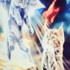 hollister (housprty nineslay raheem yshaouzi)