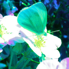 Same Things (prod sammyboy!)