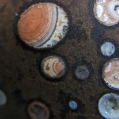 Drones Over N.J. - 121724, 10.58 AM.mp3