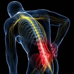 STAN - Break Your Spine 1.0