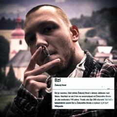 StevieWondra - Bzí je můj hood (OFICIÁLNÍ HYMNA)