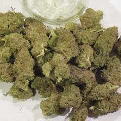 100 Dollar Ounce