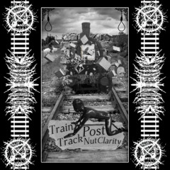 Train Track Post Nut Clarity