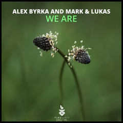 We Are (Original Mix)
