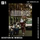 on DJSet ::: BAILE DA MIMOSA |  NTS Radio