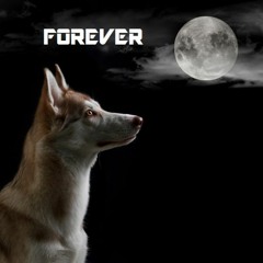 FOREVER
