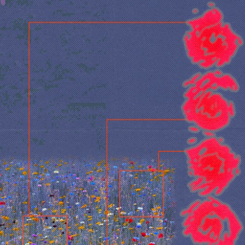 petals