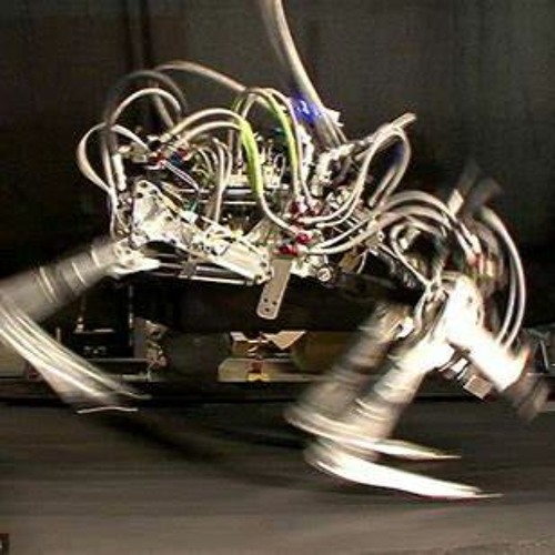 Robots In A Rush