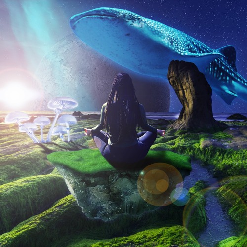 Mindshore
