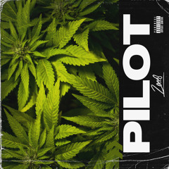 Pilot