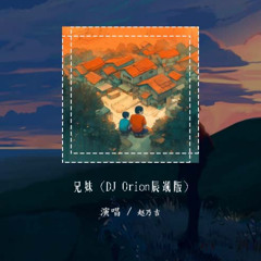 赵乃吉 - 兄妹 (DJ Orion辰飒版)「就让我们虚伪 有感情 别浪费，不能相爱的一对 亲爱像两兄妹」【動態歌詞/pīn yīn gē cí】#赵乃吉 #兄妹 #動態歌詞
