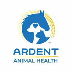 Utilizing Stem Cell Therapy For Cruciate Injuries