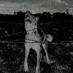 IZI - GRETZKY FT. HACHI