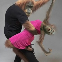 Dance Monkeys DisturbedTraxX Remix