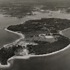 Dead Men Tell No Tales