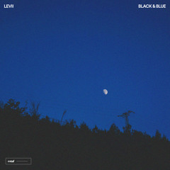 Black & Blue (feat. KING LX)