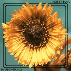 Sunflower Jam