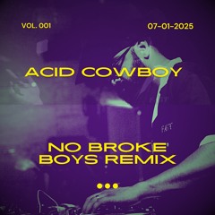 Tinashe / Disco Lines - No Broke Boys (Acid Cowboy Remix)