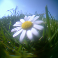 I Love It