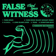 Premiere: False Witness - Downtown Boys