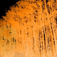 cold spot (prod.  tekika)