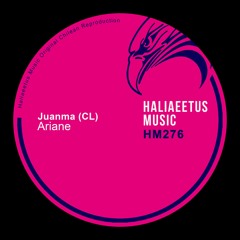 Una Pieza(Original Mix)