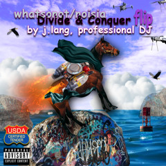 Divide & Conquer Flip - What So Not, Noisia