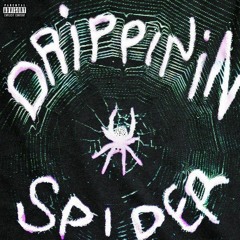 Lil Gotit — Drippin In Spider