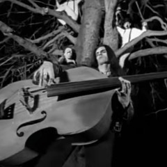 TYPE O NEGATIVE & Peter Steele